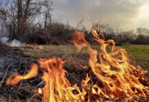 14 пожаров потушили в Хакасии за сутки огонь, пожар, ландшафтный пожар, природный пожар, горит поле, горит трава, пожары