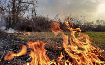 огонь, пожар, ландшафтный пожар, природный пожар, горит поле, горит трава, пожары