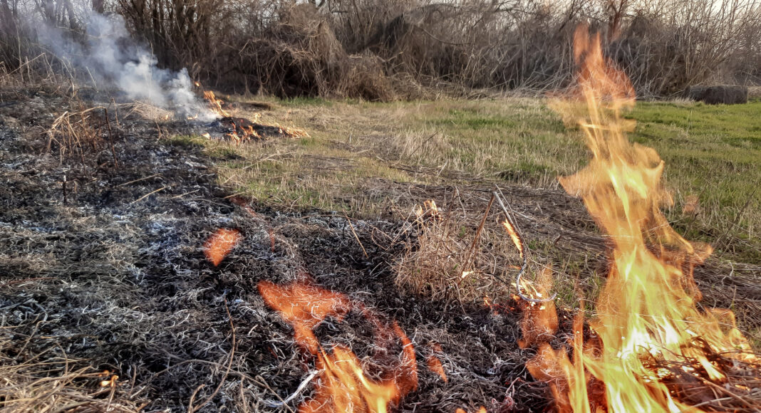 Ландшафтный (природный) пожар. Фото СМИ Пульс Хакасии огонь, пожар, ландшафтный пожар, природный пожар, горит поле, горит трава, пожары