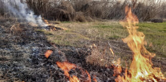 огонь, пожар, ландшафтный пожар, природный пожар, горит поле, горит трава, пожары