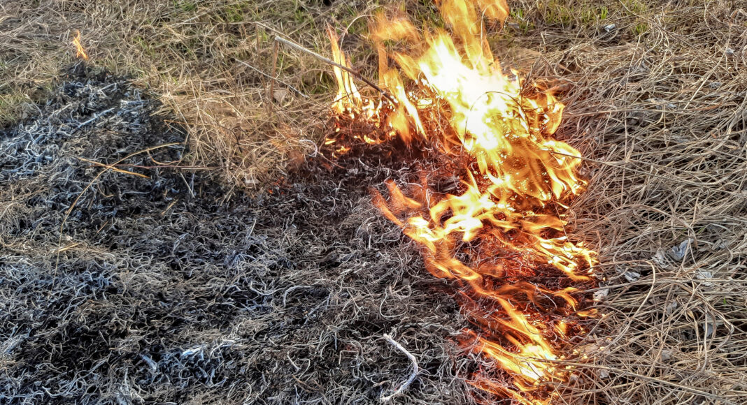 Ландшафтный (природный) пожар. Фото СМИ Пульс Хакасии огонь, пожар, ландшафтный пожар, природный пожар, горит поле, горит трава, пожары