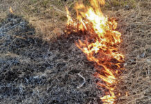 огонь, пожар, ландшафтный пожар, природный пожар, горит поле, горит трава, пожары