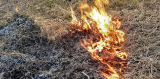 огонь, пожар, ландшафтный пожар, природный пожар, горит поле, горит трава, пожары