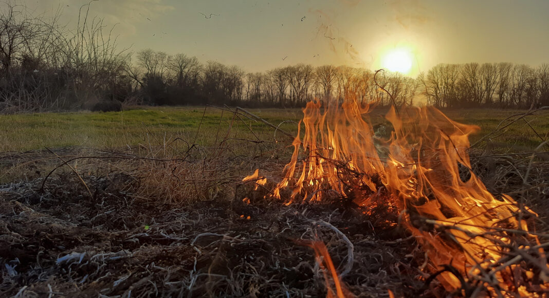 огонь, пожар, ландшафтный пожар, природный пожар, горит поле, горит трава, пожары