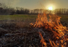 огонь, пожар, ландшафтный пожар, природный пожар, горит поле, горит трава, пожары