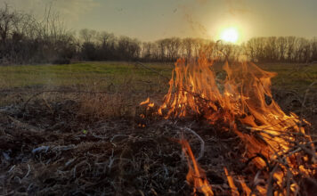 В Саяногорске проводятся контролируемые палы травы огонь, пожар, ландшафтный пожар, природный пожар, горит поле, горит трава, пожары