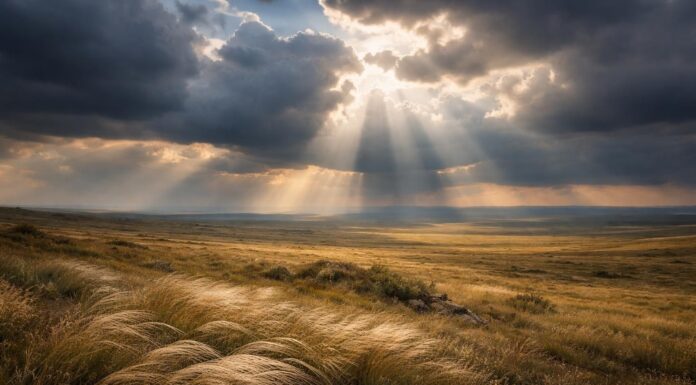 Невидимые храмы и дворцы Хакасии — ключ к истории региона. Можно ли их сохранить? Степь. Изображение нейросети