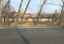 Фото Госавтоинспекции