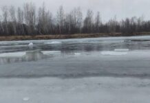 Фото ГСУ СК