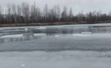 В Минусинском округе утонул 7-летний ребенок Фото ГСУ СК