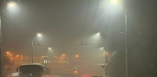 Фото из телеграм-канала Минприроды РХ