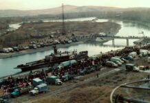 В Абакане возродят яблоневый сад Фото из телеграм-канала главы Абакана