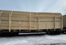 Фото из телеграм-канала Россельхознадзора РХ