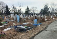 Фото из телеграм-канала Елены Гопиной