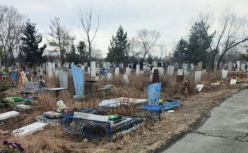 Фото из телеграм-канала Елены Гопиной