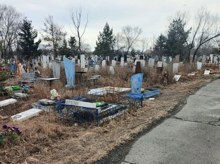 Фото из телеграм-канала Елены Гопиной