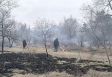 Фото из телеграм-канала администрация Черногорска