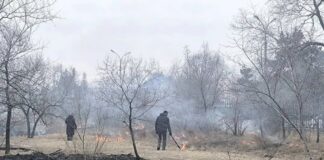 Фото из телеграм-канала администрация Черногорска