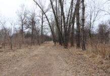 Фото: Абакан.рф