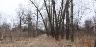 Фото: Абакан.рф