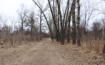 Фото: Абакан.рф