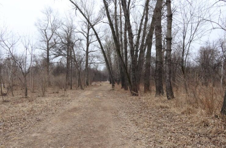 Фото: Абакан.рф