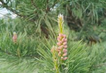 Фото: Абакан.рф