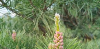 Фото: Абакан.рф