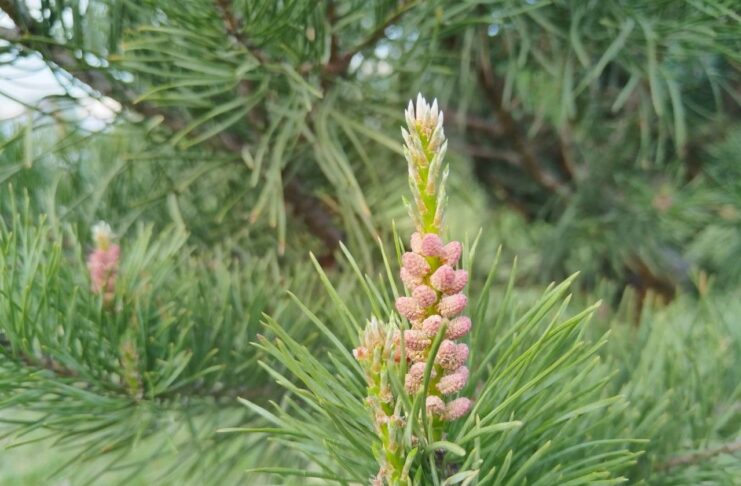 Фото: Абакан.рф