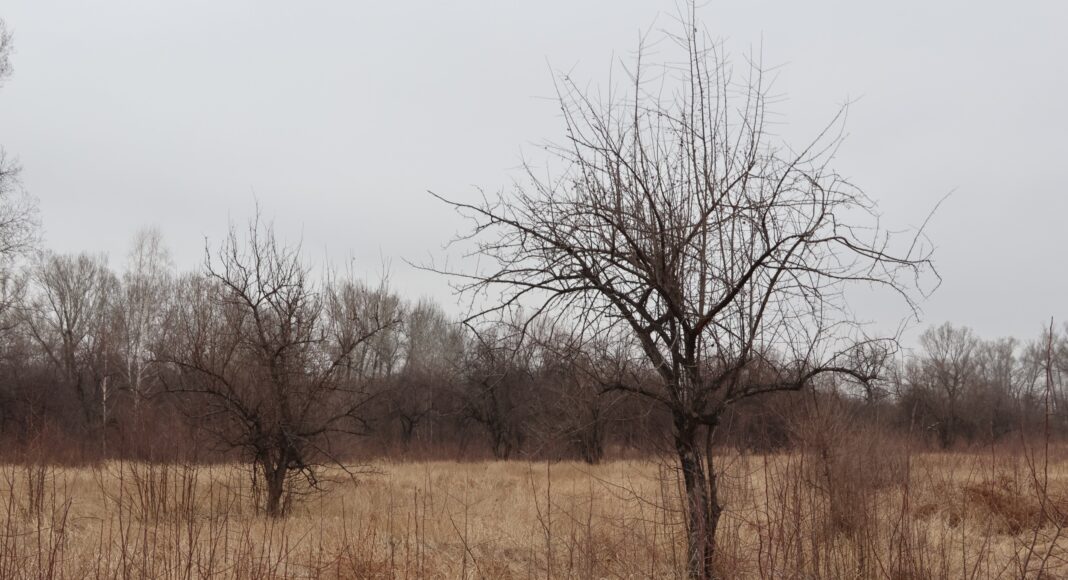 Фото: Абакан.рф