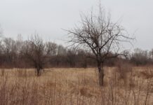 Фото: Абакан.рф