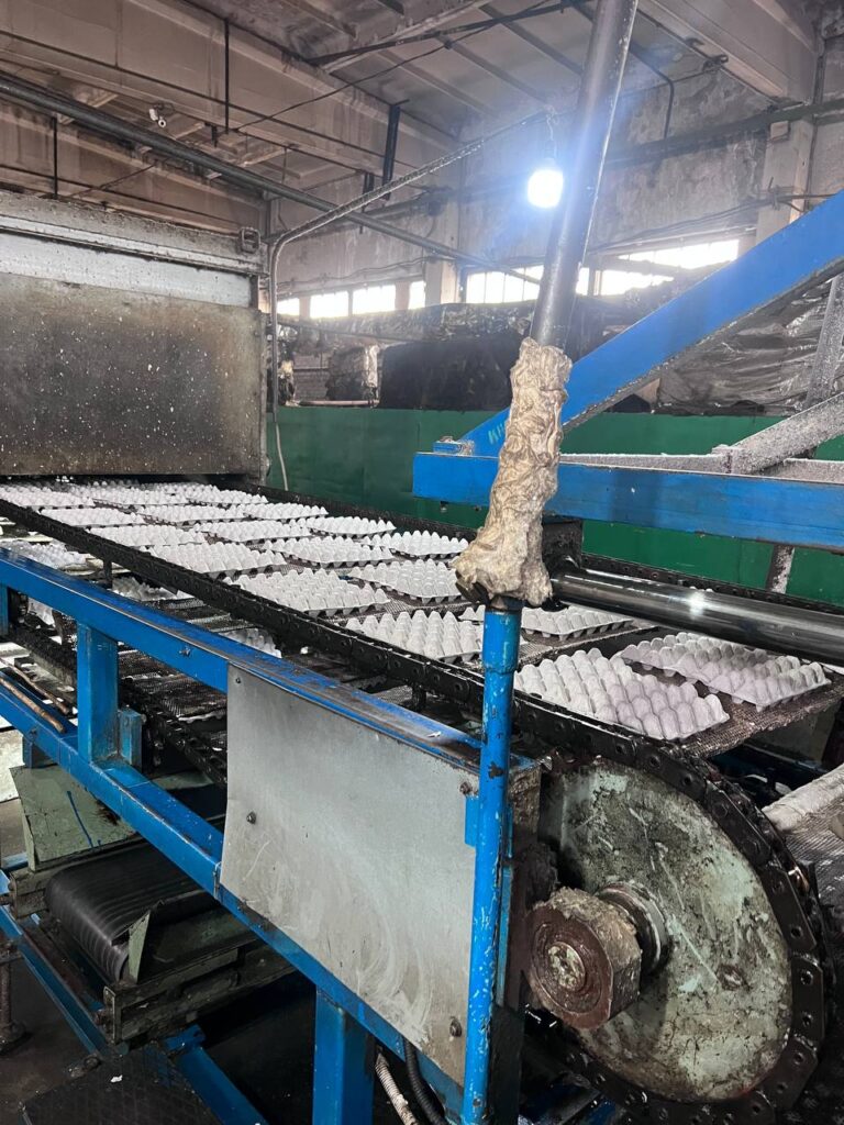 На производстве ФормУпак. Фото pulse19.ru