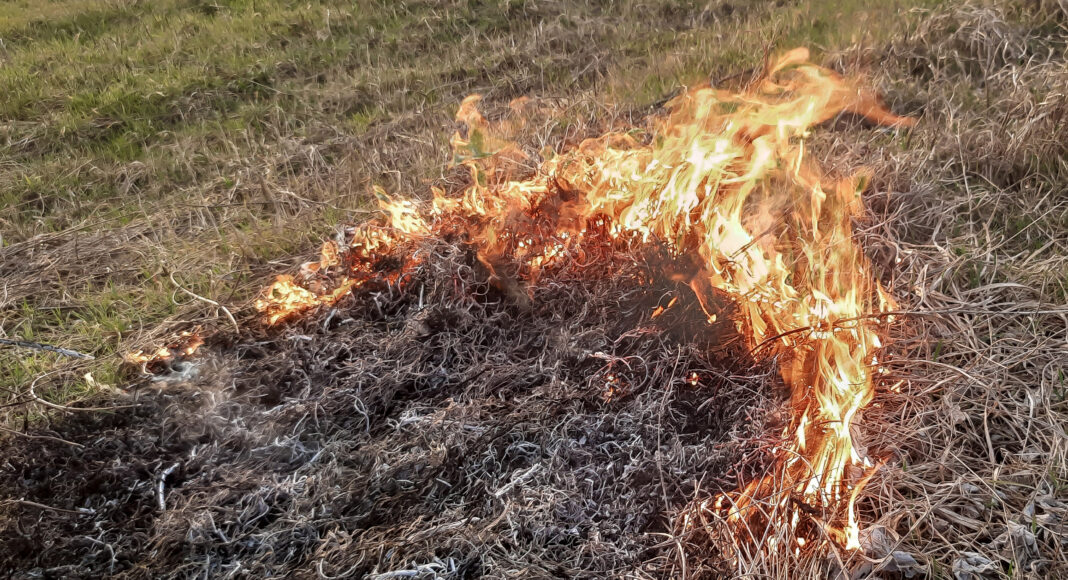 Ландшафтный (природный) пожар. Фото СМИ Пульс Хакасии огонь, пожар, ландшафтный пожар, природный пожар, горит поле, горит трава, пожары