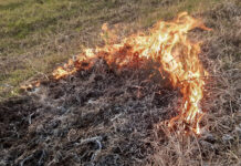 Первый в этом году лесной пожар зарегистрирован в Хакасии огонь, пожар, ландшафтный пожар, природный пожар, горит поле, горит трава, пожары