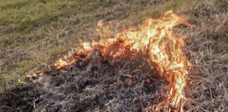 огонь, пожар, ландшафтный пожар, природный пожар, горит поле, горит трава, пожары