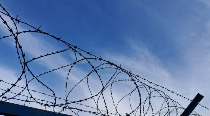 Абаканец получил больше 8 лет колонии за участие в наркосообществе Решетка, арест, тюрьма