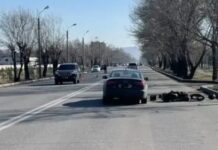 Фото Госавтоинспекции