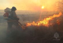 19 пожаров потушили в Хакасии за сутки Фото МЧС