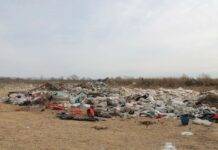 Фото предоставлено пресс-службой Россельхознадзора РХ