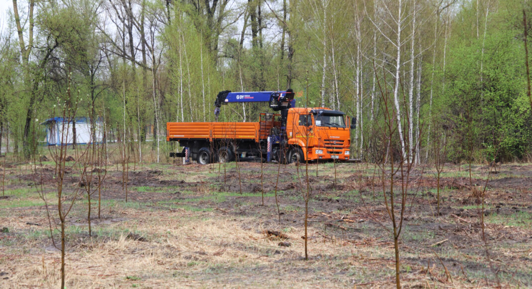 Фото: абакан.рф