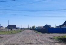 Фото Госавтоинспекции