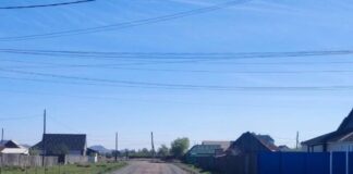 Фото Госавтоинспекции
