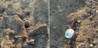 Фото из телеграм-канала Дмитрия Бученика