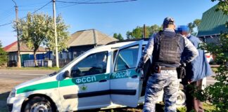 В Хакасии чабан продал чужих овец и скрылся, но его нашли Фото предоставлено пресс-службой УФССП по РХ