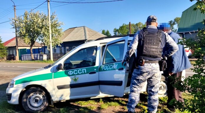 В Хакасии чабан продал чужих овец и скрылся, но его нашли Фото предоставлено пресс-службой УФССП по РХ
