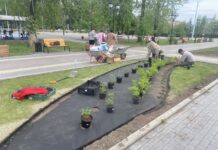 Фото предоставлено пресс-службой администрации Абакана