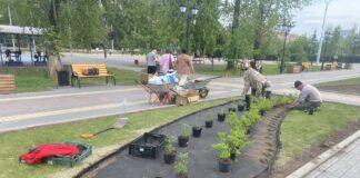 Фото предоставлено пресс-службой администрации Абакана