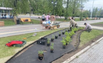 Фото предоставлено пресс-службой администрации Абакана