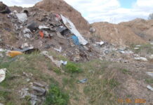 Фото предоставлено пресс-службой Россельхознадзора