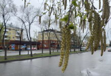 Фото СГК